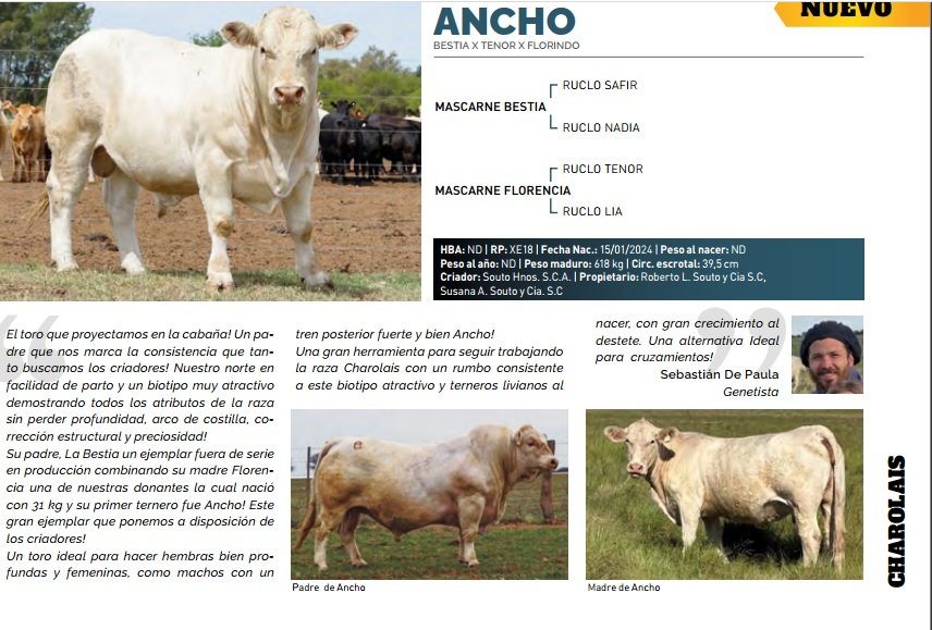 ANCHO