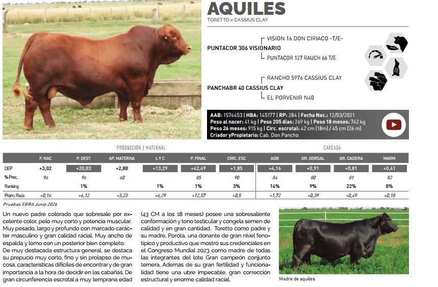 AQUILES